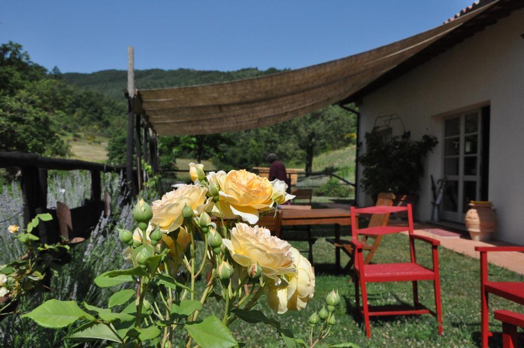 Agriturismo L'Oca Blu Hotel Gubbio Eksteriør billede