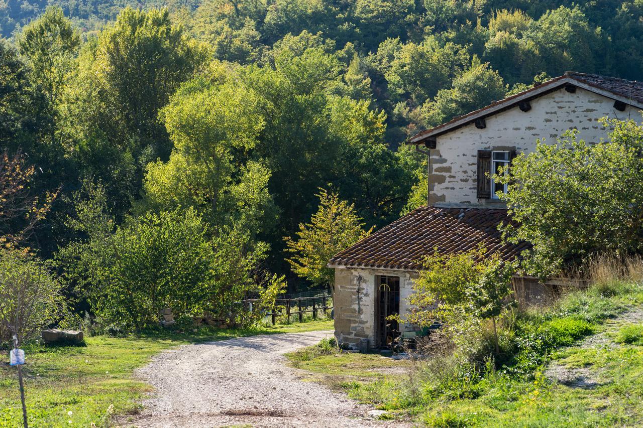 Agriturismo L'Oca Blu Hotel Gubbio Eksteriør billede